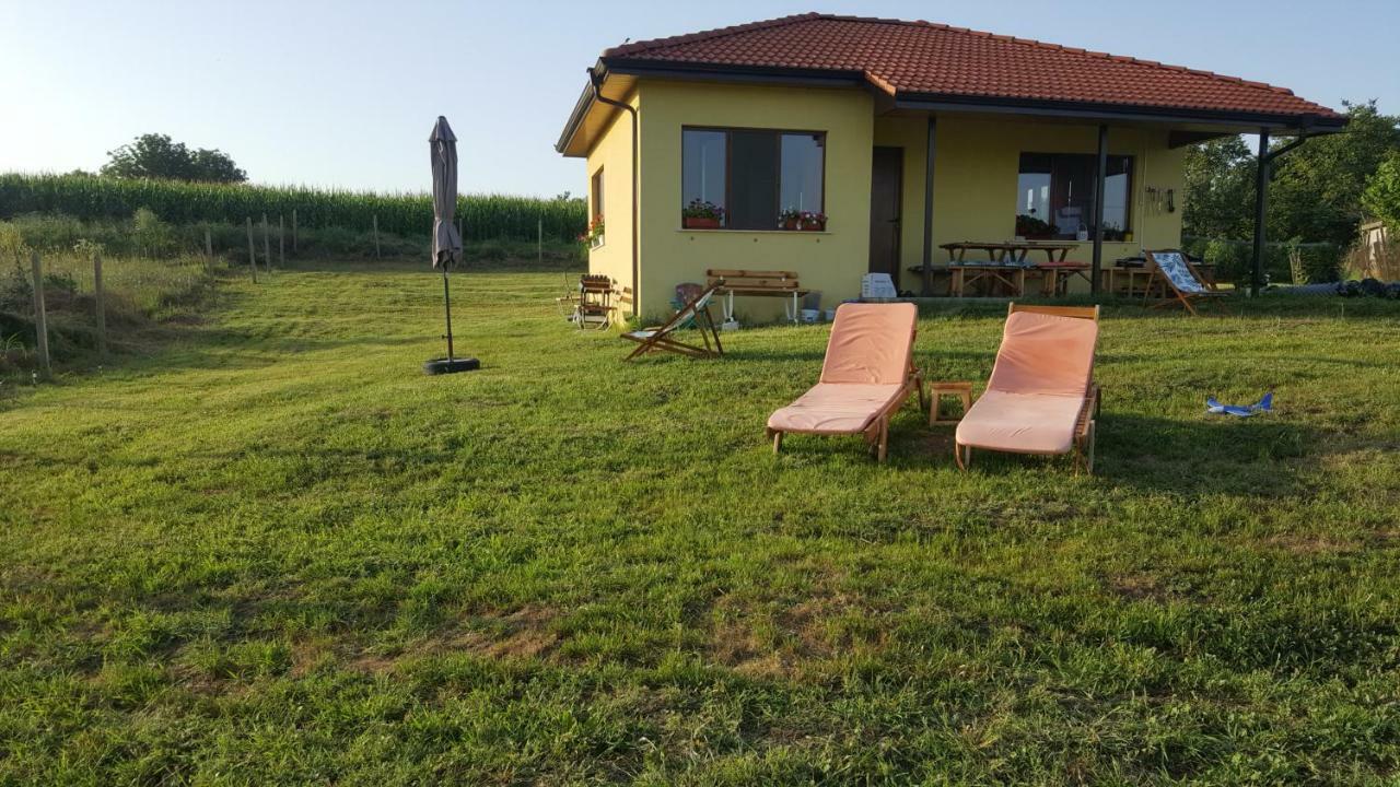 Malavi Guest House Krasen! Comfort&Clean! Eksteriør billede